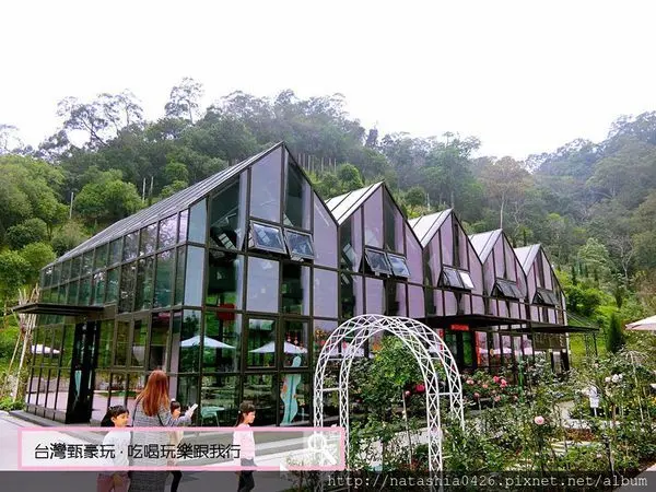 |台灣·苗栗|雅聞七里香玫瑰森林·免費景點·與上千株玫瑰的約會