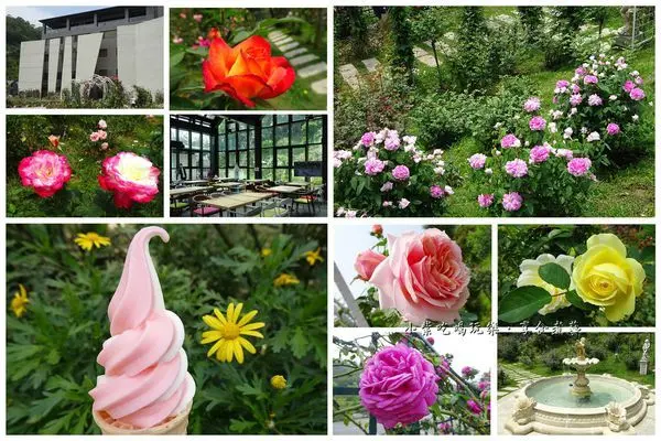 苗栗頭屋景點/全台最大玫瑰園【雅聞七里香玫瑰森林】數百種玫瑰上萬株花兒開正美/親子旅遊景點/附免費停車場/苗栗景觀餐廳(雅聞保養品、彩妝系列、香水精油、洗護沐浴產品..)觀光工廠