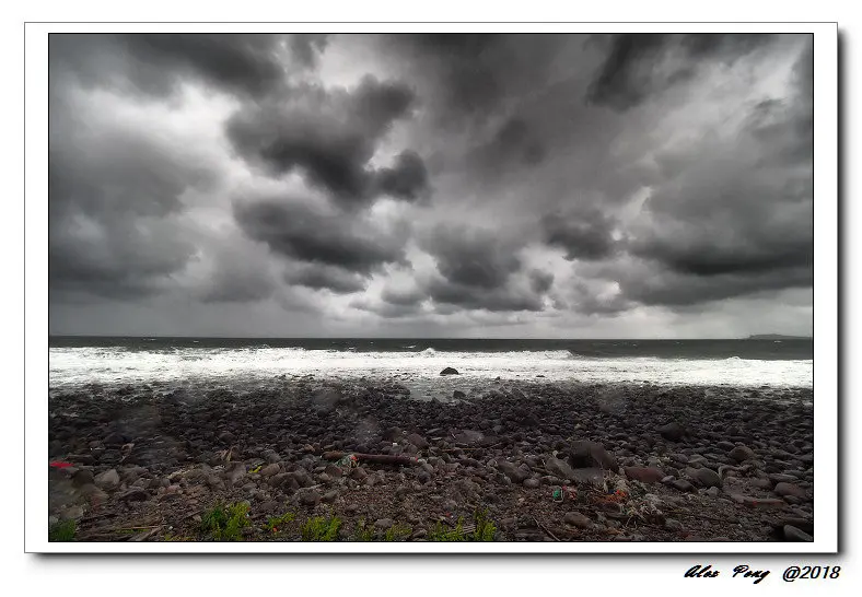 新北市-金山區-洋荳子咖啡館