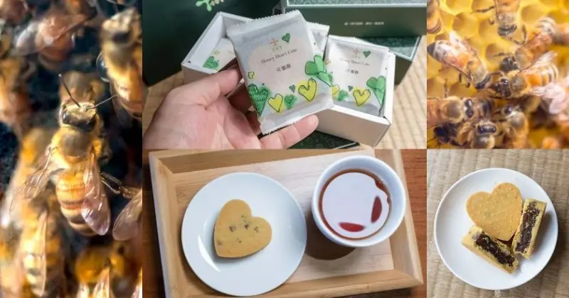 用蜂農老爸的名字作為蜂蜜的品牌名，客廳養蜂，用"心"做的產品，佳風蜜用純蜂蜜與櫸木花粉做的花蜜酥，絕不加糖，中秋伴手禮新選擇 - 老莫 Say台南