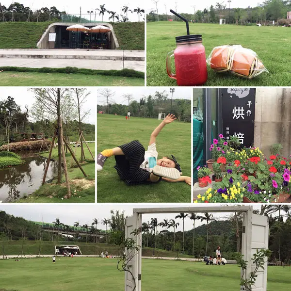 【新竹】House Bakery 好事烘培 ● 戶外大片草皮可供小朋友跑跳