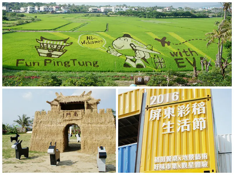 2016屏東彩稻生活節在龍水。稻田餐桌x地景藝術x好味市集