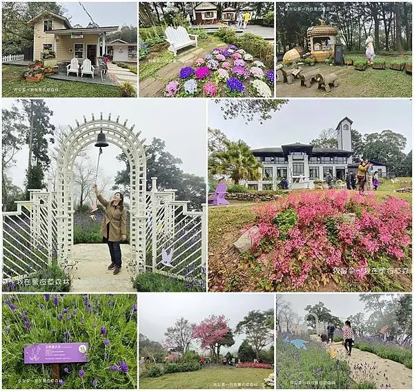 『新竹。薰衣草森林』～尖石店／夢幻場景／餐點介紹