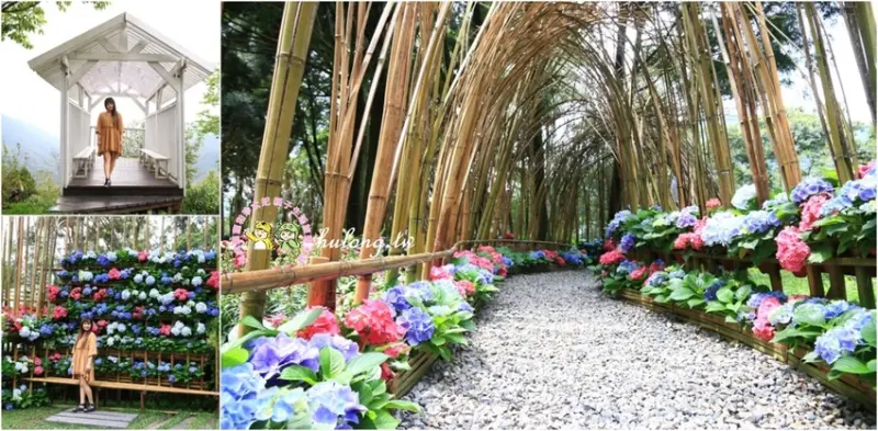 新竹景點)) 薰衣草森林尖石全新秘密花園，繡球花隧道必拍|新竹新景點! - 虎虎龍龍*珍太妃