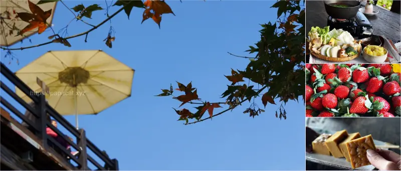 苗栗｜小旅行 大湖vs薑麻園素食旅行團 賞楓、採草莓、 鍾鼎山林吃好食 、 湯神泡湯趣，發現露營新景點即將開張