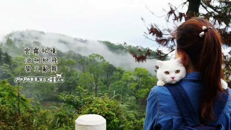 苗栗。大湖 ｜ 輕旅行 薑麻園 雲海 油桐花 螢火蟲 迷霧秘境 上篇 客家麻糬好好吃