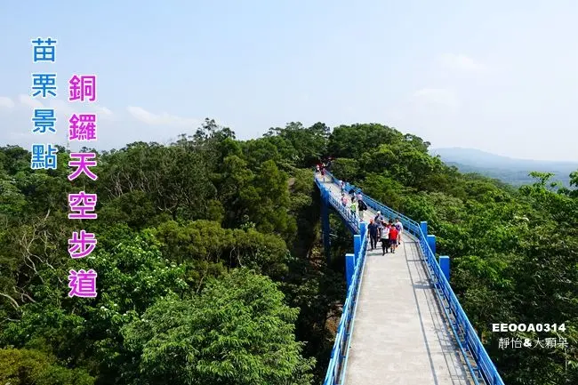 【苗栗景點】銅鑼天空步道&天空之橋 (銅鑼自行車道) ♥ 苗栗賞桐景點 賞油桐花、賞景好去處 苗栗熱門景點 5/7最新花況 天空步道交通資訊