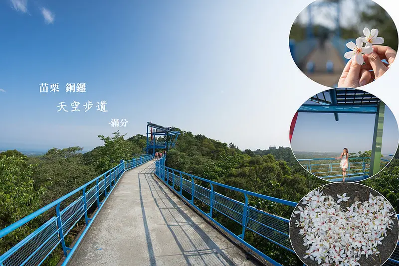 【苗栗。銅鑼景點】銅鑼天空步道 / 賞桐景點 / 苗栗客家桐花季 ~ 登上雲端賞桐趣。苗栗最美的雪景