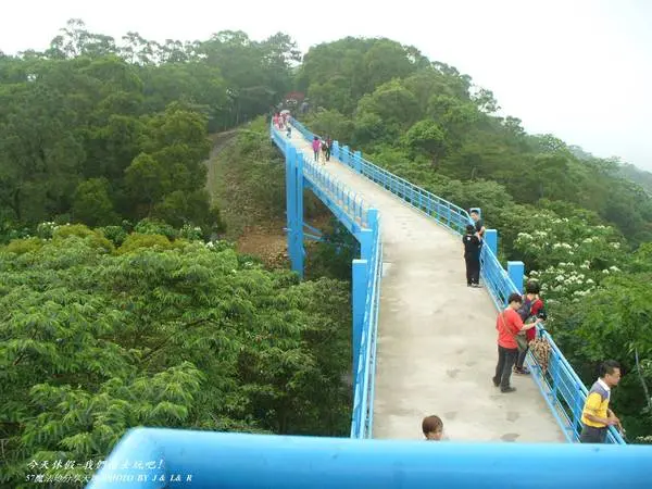 [ 苗栗⊙銅鑼]漫步銅鑼天空步道。自行車道。賞桐去。
