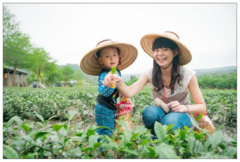【宜蘭冬山景點】♬綠野茶園♬來宜蘭最專業的製茶社區變身一日茶農．體驗有趣的採茶＆製茶樂