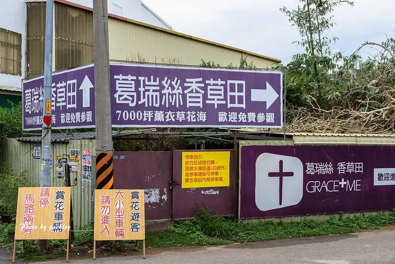 200405苗栗-葛瑞絲香草田