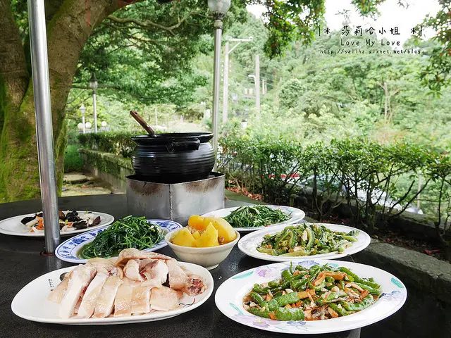*陽明山竹子湖好吃餐廳推薦*杉木林餐廳~美味自家栽種山菜,很有親切感的戶外傘座