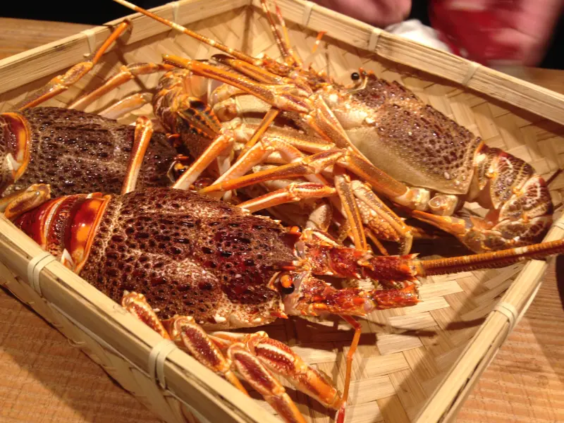 【台北食記】大安區 初魚料亭 ●南非活鮑魚、波士頓活龍蝦、廣島牡蠣●CP值超高的隱藏巷弄無菜單料理●