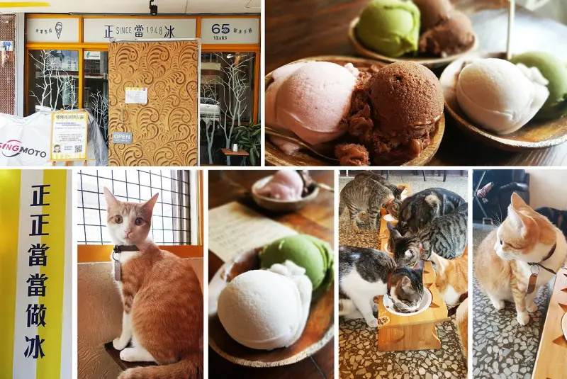 【花蓮美食】冰友們！到正當冰與萌貓一起渡過慵懶的時光~