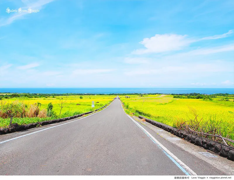 【台東 Taitung】長濱長光梯田謐景 金剛大道 綿延金黃稻田的盡頭是蔚藍太平洋