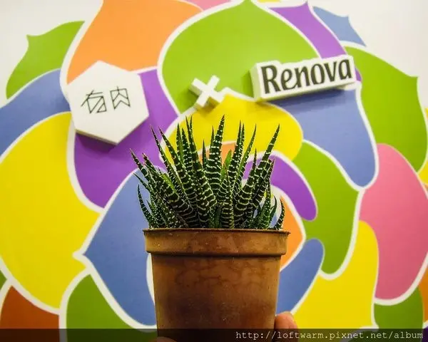 有肉 Succulent & Gift 非典型花藝課程 台北超可愛多肉植物花店 手作刺繡仙人掌的樂趣參加過就會知道...