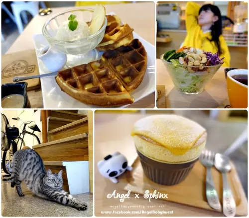 「宜蘭礁溪」 預約貓店長，來一盅舒芙蕾的恬靜愜意 ❤ 伍拾號咖啡店