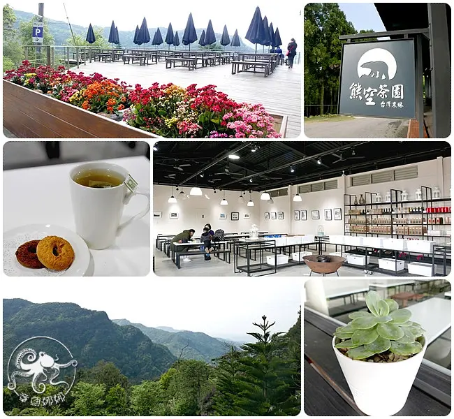 新北市三峽區【熊空茶園】海拔700公尺，秘境茶園喝好茶，生態有機茶園自然農法！杉木步道與生態棲地，大自然離我們這麼近。