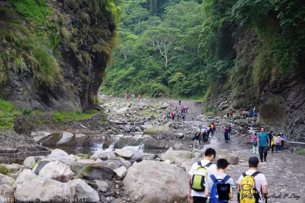 【苗栗。泰安】明知山有虎。偏向虎山行。苗栗泰安虎山步道。水雲吊橋。泰安溫泉停車場。虎山登山記