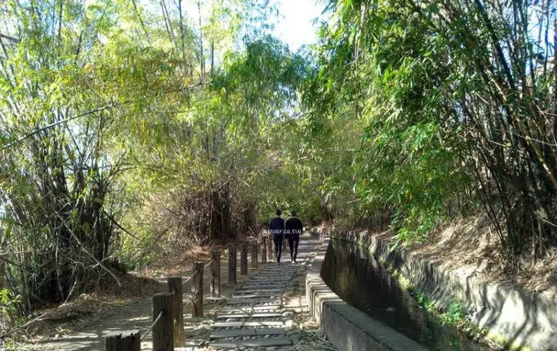 知高圳步道。台中熱門親子景點，輕鬆好走親子步道，好漢坡雪蓮登山步道 - 🍎 蘋果話日常🍎