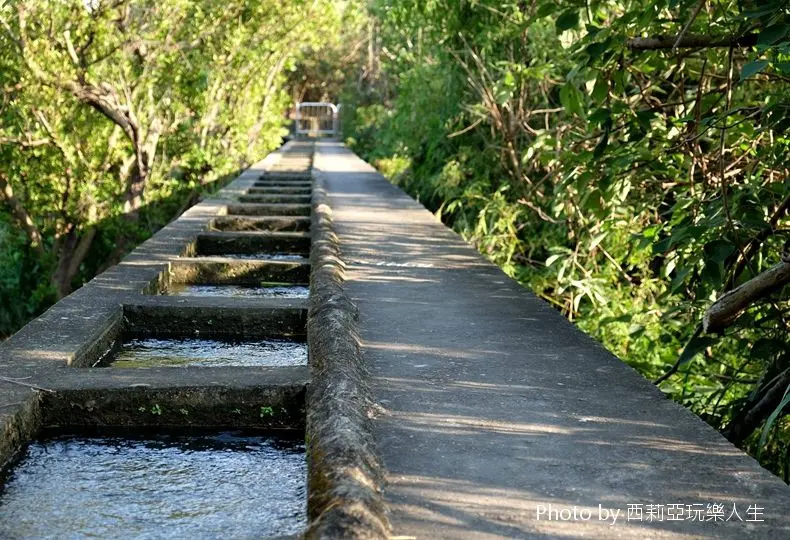 【台中。烏日區】讓我們一起尋找隱藏在都市裡的小小秘境『知高圳步道』，感受漫步在步道上那前所未有的舒心氛圍。
