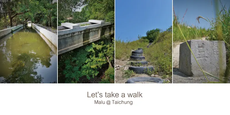 《台中烏日》穿過綠色隧道之最美無人秘境●知高圳步道與雪蓮步道