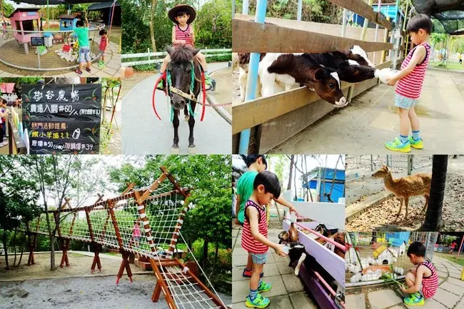 台南親子旅遊 ▶ 樹谷農場 ▶ 近距離親近可愛小動物、餵小牛小羊喝ㄋㄟㄋㄟ、兒童遊樂設施 門票60元附飼料!
