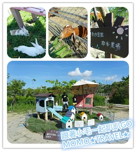 台南旅遊-樹谷農場 親子同樂的動物餵食趣~