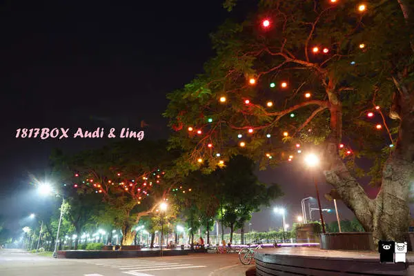 【雲林。斗六】環球科大鳳凰夫妻樹浪漫點燈。夜拍。鳳凰樹。愛月樓