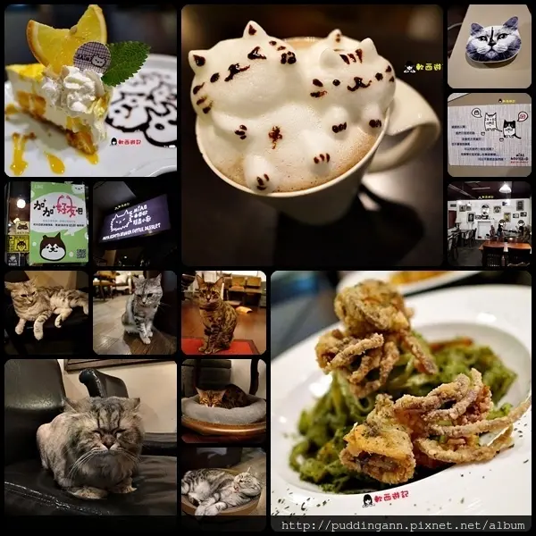 [愛評口碑]台北市政府站 Miao 米亞歐隨義小廚 可愛立體貓咪拉花/貓咪拉花咖啡 *有WIFI 附菜單* 超多可愛貓咪伴食溫馨餐廳! 貓中途之家 氣氛好餐點好份量多好餐廳!!! 跟貓咪一起吃一頓好料