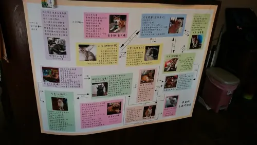 ※寵物友善餐廳※台北市信義區米亞歐隨義小廚★小精靈胡扯蛋★2018.02.18