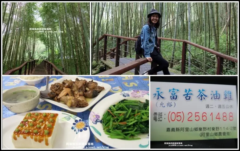 阿里山半路上的好風景好味道。迷糊步道｜永富苦茶油雞