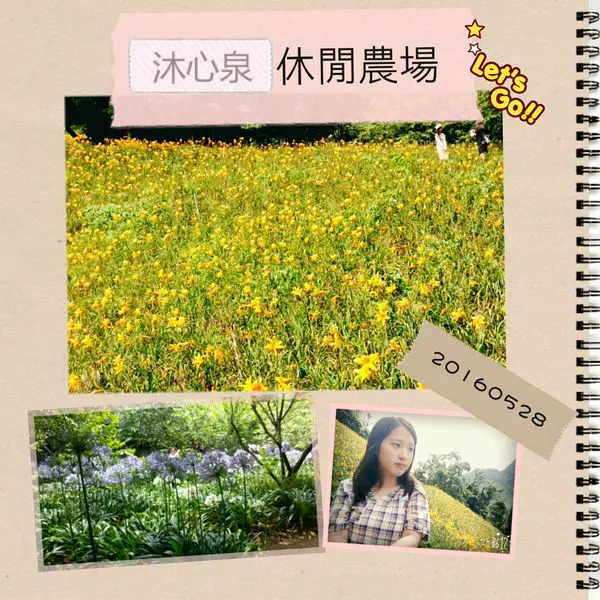 台中．新社∥沐心泉休閒農場．滿山遍野的金針花海