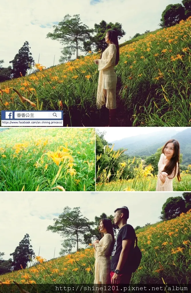 【台中金針花花季】沐心泉休閒農場.9~10月也能在金針花海裡被包圍的浪漫秋季