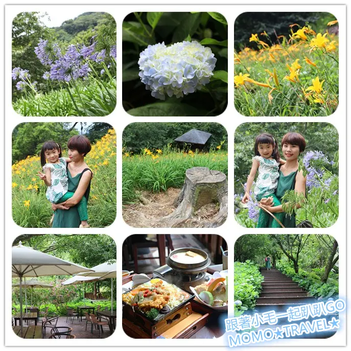 台中旅遊-沐心泉休閒農場 花卉丨美食丨露營 開滿山的繡球花與金針花超好拍