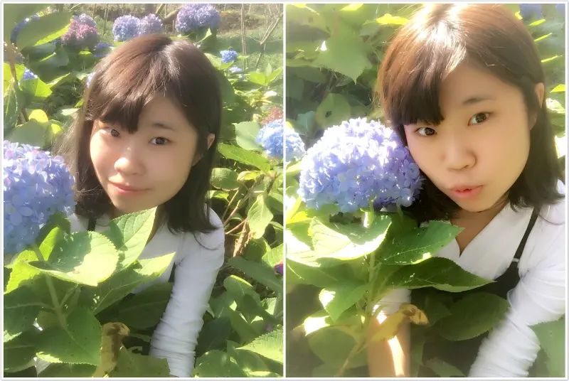 【台中】新社-沐心泉休閒農場 一年四季都有花季的百花天堂