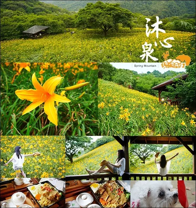 【台中景點】沐心泉休閒農場，台中也有黃澄澄的金針花海嚕，讓我不用跑到台灣東部就可以看到如此美景。一年四季都有花卉綻放，但我是....為了黃色而去的，哈哈哈