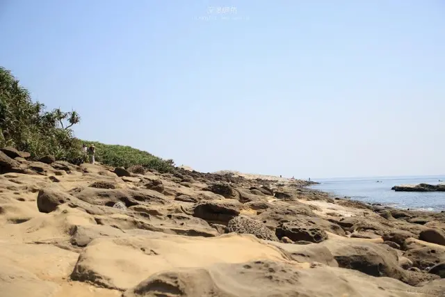 新北。瑞芳。巍峨聳立於海岸的想像 / 深澳岬角｜象鼻岩