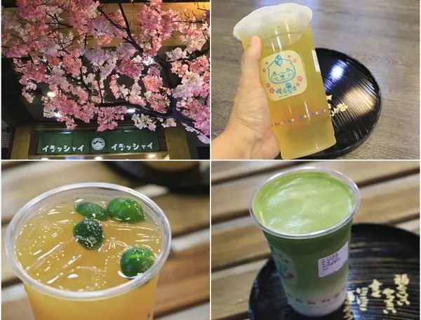 高雄 新興。咲樂茶房(堀江店)，一次只能現煮6杯的杉林溪高山茶