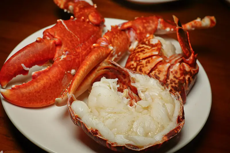 大釧鍋物,藍龍蝦肉好吃, 煮完的湯也好棒!! 南京復興火鍋