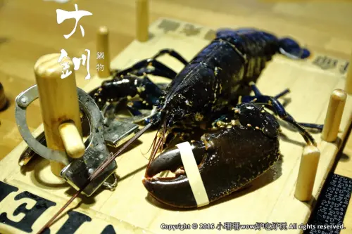 【食||台北】大釧鍋物〜懸賞5億貝里『藍波龍蝦』緝捕歸案？！主打活海鮮，新鮮看得見，頂級食材，高貴不貴的享受！