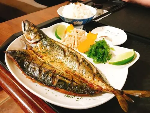 新竹貓町 日式。洋食創意料理餐廳 伙食大碗滿意大大飽足感好好甲 友善貓咪餐廳