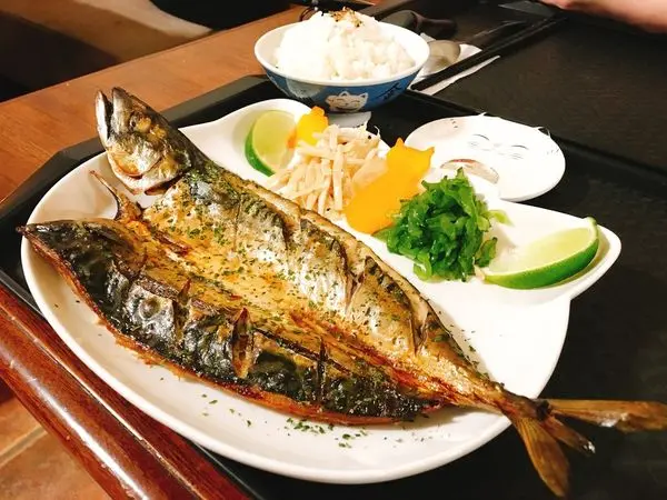 新竹貓町 日式。洋食創意料理餐廳 伙食大碗滿意大大飽足感好好甲 友善貓咪餐廳