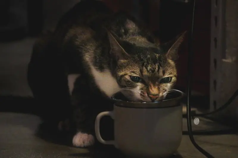 【必收藏！】2020台北20間《有插座不限時》咖啡廳，還有好吃的蛋糕甜點！