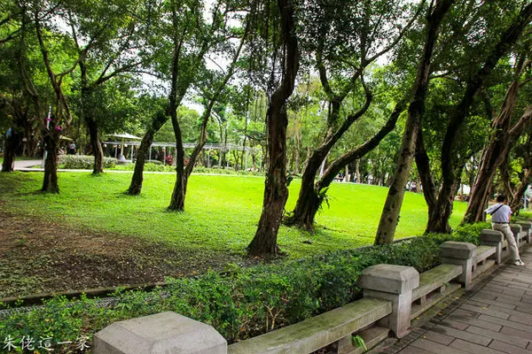 【台北市景點】CP值超高的戲水景點,有冷熱池SPA,360度滑水道跟漂漂河就在我家旁邊。玉成公園游泳池