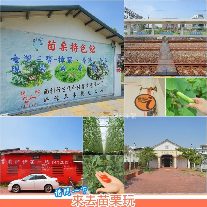 來去苗栗玩|用苗栗借問站輕鬆玩一天，銅鑼車站、飛牛牧場、彎麗愛情果園、藺草文化館、上田咖啡莊園、活力旺柑橘農場、苗栗特色館。