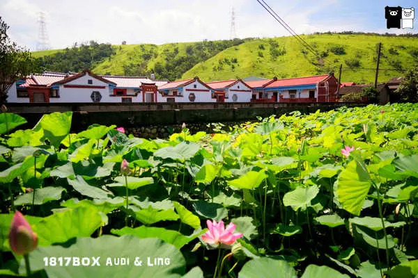 【台中。清水】清水賞荷勝地。下湳里趙家古厝。半月池。夏荷初綻放。同場加映中央路荷花現況