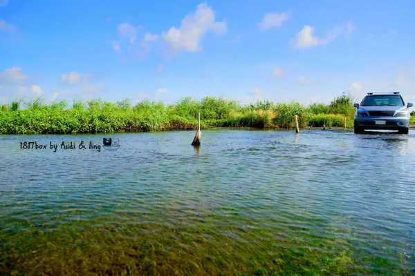 【彰化。竹塘】隱藏版秘境。竹塘水路。竹塘溼地