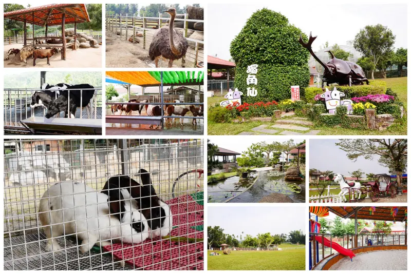 【嘉義-中埔鄉】親子同遊景點「獨角仙休閒農場」有大草皮、沙坑及萌萌的兔子、小牛小馬可餵食
