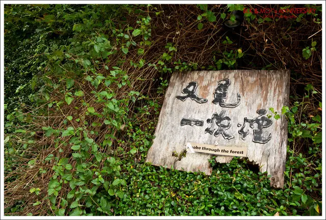 新社│又見一炊煙‧遠離塵囂慢慢食